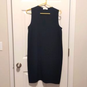 Everlane Dress